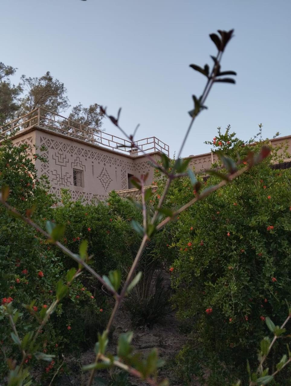 Heritage House Skoura Esterno foto